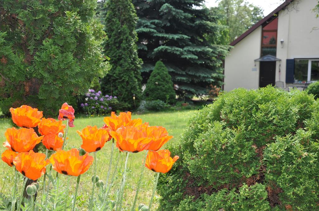 Be Well 3-Rooms Apartment With Parking And Garden Varsovia Exterior foto